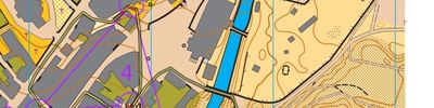 Sommerløpene i Nord-Østerdal, løp 1, sprint, Røros, H65- (27/06/2025)