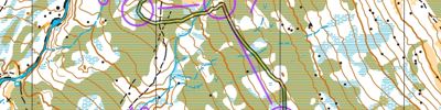 Sommerløpene i Nord-Østerdal, løp 2, Haltdalen, H65- (28/06/2025)